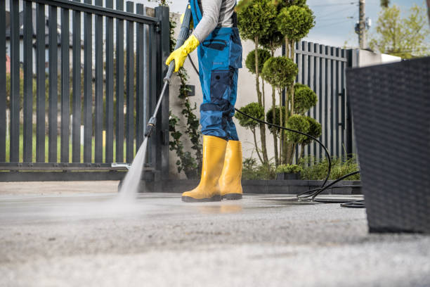 Best Roof Power Washing Services  in Ada, MN