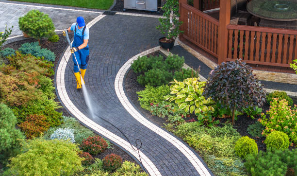 Best Local Pressure Washing Services  in Ada, MN