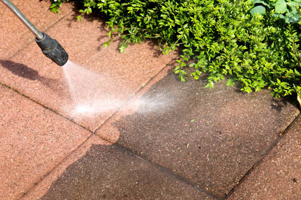 Best Local Pressure Washing Services  in Ada, MN